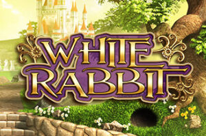 white rabbit btg